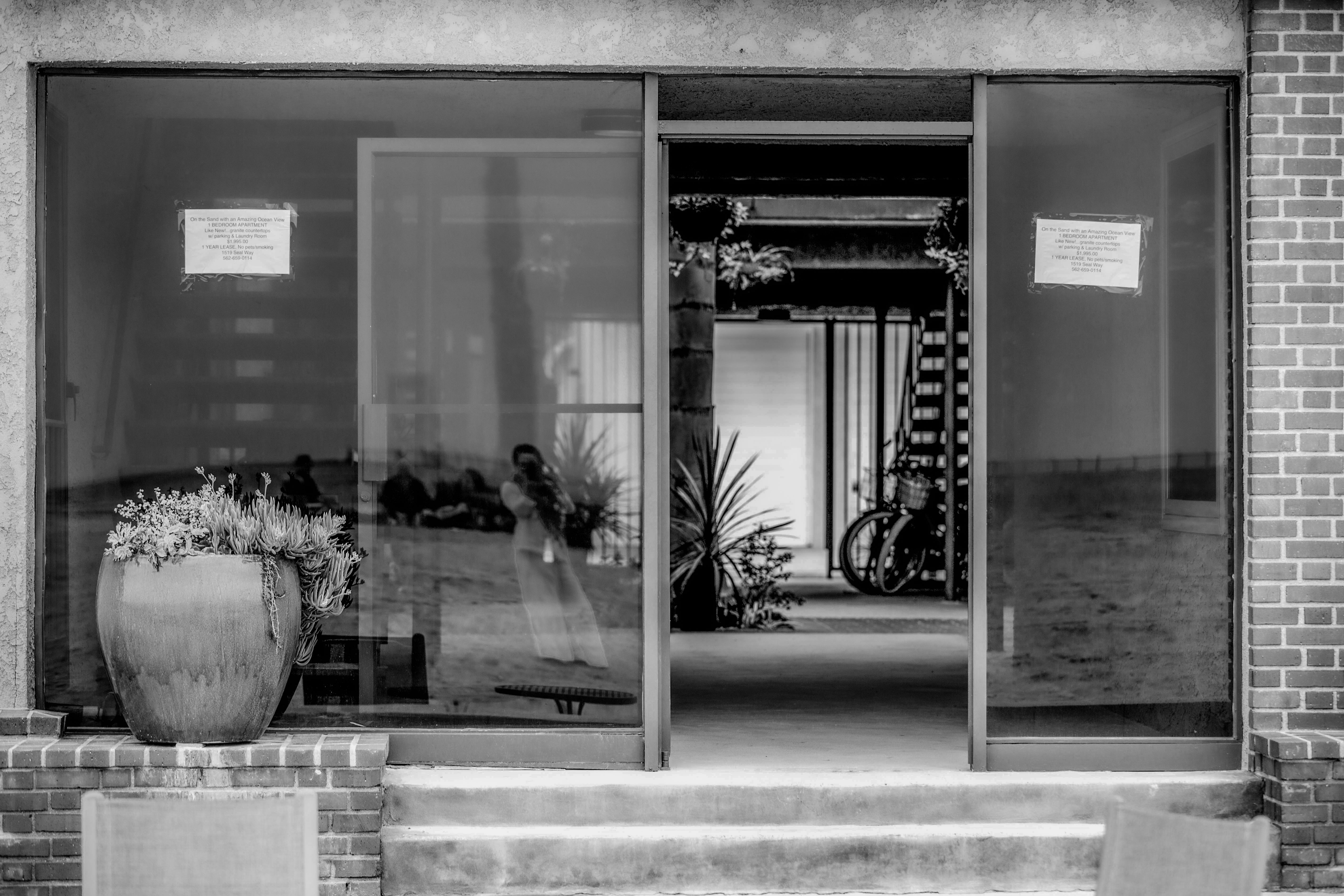 Black-and-white view of a brick apartment entrance with ocean-view rental signs in the windows and a planter of succulents by the door